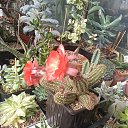 ���� �������, �����, 62 ���� - ��������� 9 ��� 2024 � ������ ���� �����