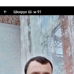 , 33, 