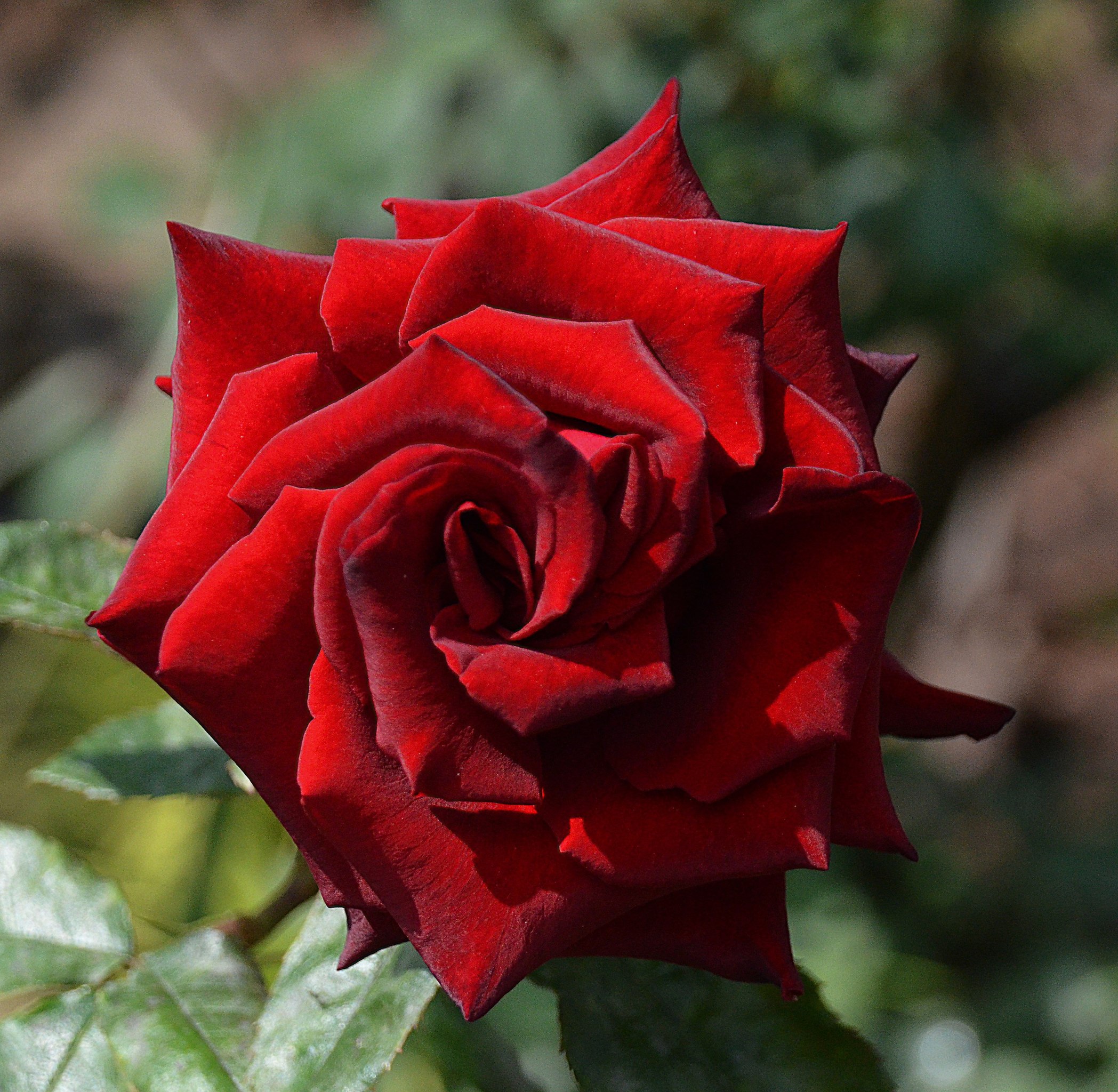 Aleksandr Voznii - 3  2025  19:04 - 2