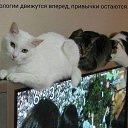 ���� �������, ������, 69 ��� - ��������� 12 ������� 2024 � ������ ������ ��������