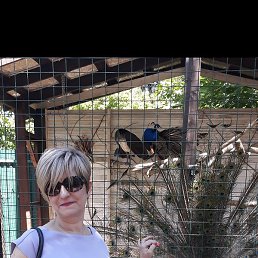 ��������, ������, 53 ����