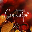 ���� Zv ����� ����� ���������!!! V, ����� - ��������� 11 �������� 2026 � ������ ������ ��������
