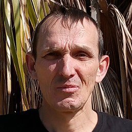 ���������, ��������, 44 ����