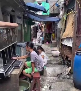 �����������