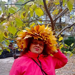 ���� ������� �, �����, 64 ���� - ��������� 20 ������� 2025