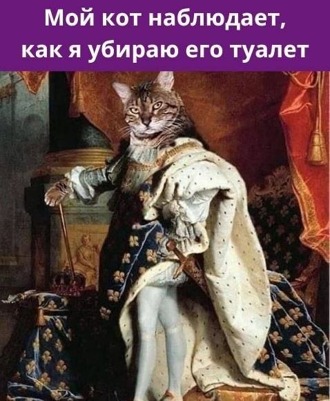 ��� ���� - 21 ����� 2026 � 00:21