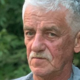 ����, ������, 65 ���