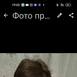  , 61, 
