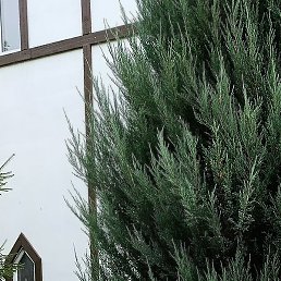 ����, ������ ��������, 53 ����