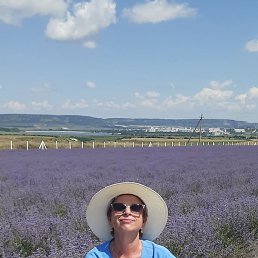 �����, �����������, 63 ����