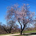 � ����� ����� �������. �� ������� ���� ����.�