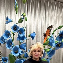 ���� �������, ������, 55 ��� - ��������� 1 ������ 2026