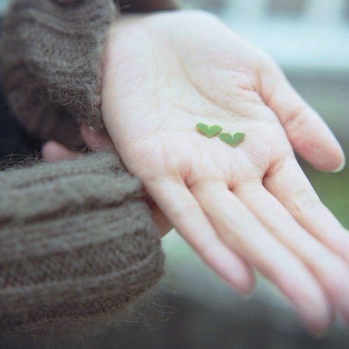 ������ ����. ������ ���� ���������, ����� �� ���� ������� �������, ������� ������� ��� � �������, ...