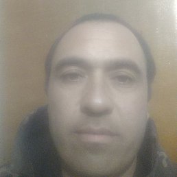 �����, �����������, 44 ����