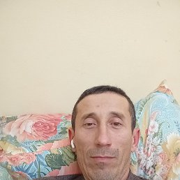 , 40, 