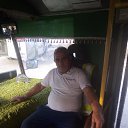 ���� �����, ��������������� ����� 24 ��, 62 ���� - ��������� 12 ������ 2025