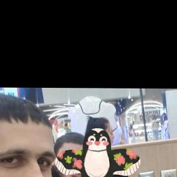 ����, �����-���������, 31 ���