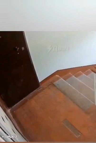 Страшно жить рядом с такой соседкой. Жители многоэтажки в Архангельске опасаются за свою жизнь и ...