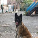 ���� Monte, ������, 90 ��� - ��������� 16 ������� 2023 � ������ ���� ����������