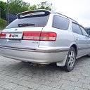 ���� ������, �����������, 41 ��� - ��������� 10 ������� 2026 � ������ ������ ��������