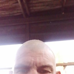, 39, 