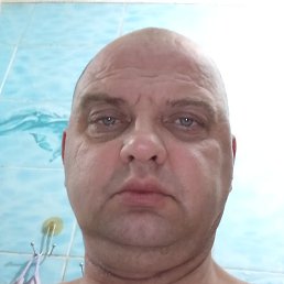 �����, �������-���������, 48 ���