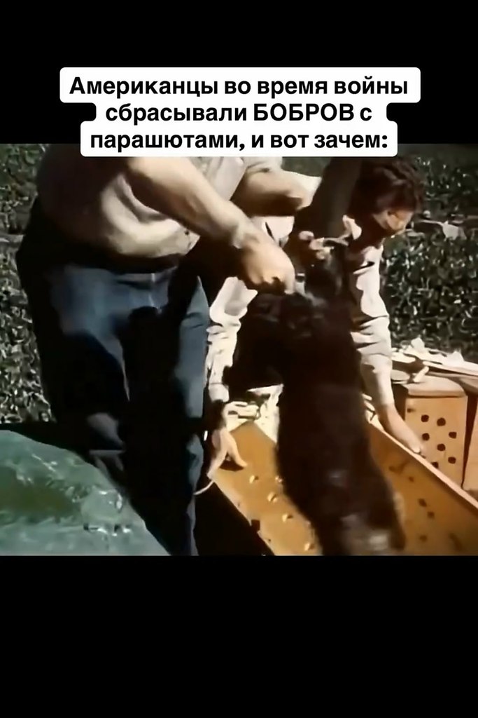 ���, ��� �� ����� �� ��������. � ������ ������ ������������� ���������� �� �������� � ���������� � ...