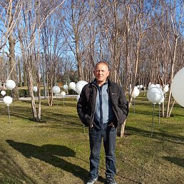 ��������, 46 ���, ���������