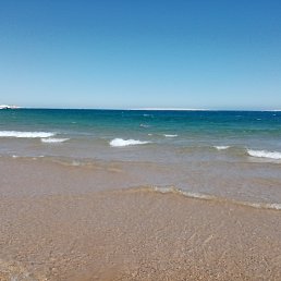 ���� ������, �����, 51 ��� - ��������� 4 ������ 2025