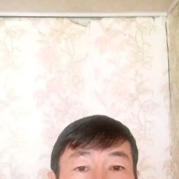 ���� ������, �����, 47 ��� - ��������� 1 ����� 2024