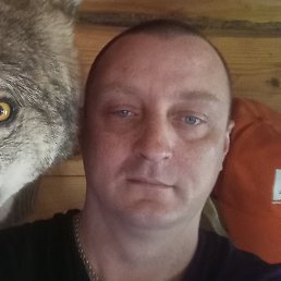 �����, ���������, 37 ���