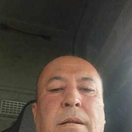 ������, 40 ���, ������