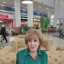 ���� ��������, ������, 66 ��� - ��������� 2 ������ 2026 � ������ ���� ����������