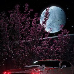 ����, ������, 35 ���