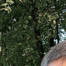 ��������, ������, 39 ���