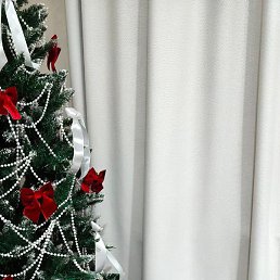 ��������, ���������, 48 ���