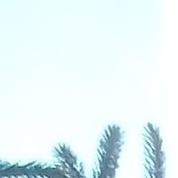 �������, ������, 61 ���