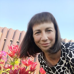 ���, 40 ���, ���������