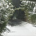 ���� �������, ������, 40 ��� - ��������� 14 ������ 2026 � ������ �����
