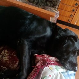 ���, ������, 40 ���