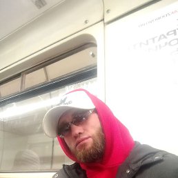 ������, ������, 41 ���