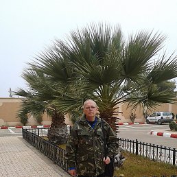 ���������, ���������, 73 ����