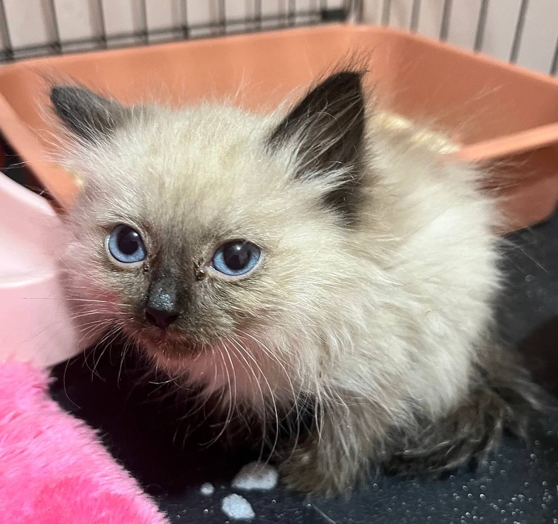 ����� ���� �� �������... �����, ��������� �������, � �������� �������, � ������� ��� ���� �������. ... - 3