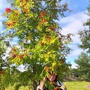  .    .      .      .     