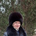 ���� ������, �����������, 66 ��� - ��������� 21 ������� 2024 � ������ ���� ����������