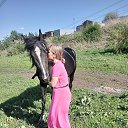 ���� ������, ���������� - ��������� 28 ��� 2025