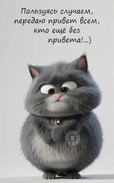 ***Victoria Viktorovna*** - 11  2025  11:37