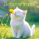 ���� ����, ������, 54 ���� - ��������� 22 ������� 2025 � ������ ���� ����������