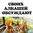 ���� �����, �����������, 33 ���� - ��������� 26 ��� 2026 � ������ ������ ��������