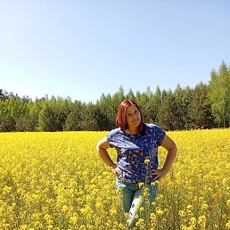 ������, �����������, 61 ���